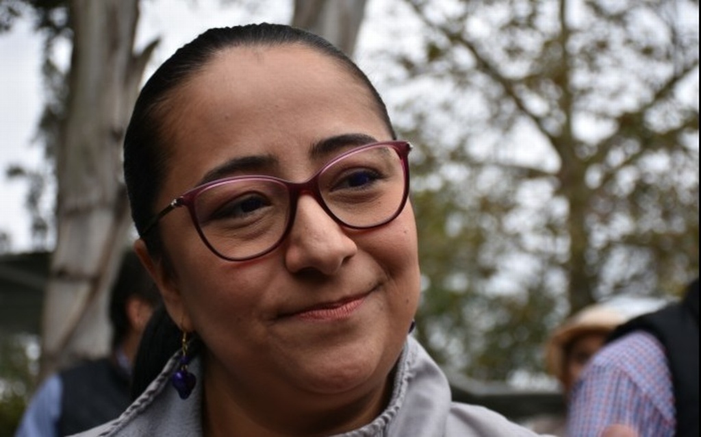 No se dará dinero en efectivo para el carnaval de Veracruz: Turismo