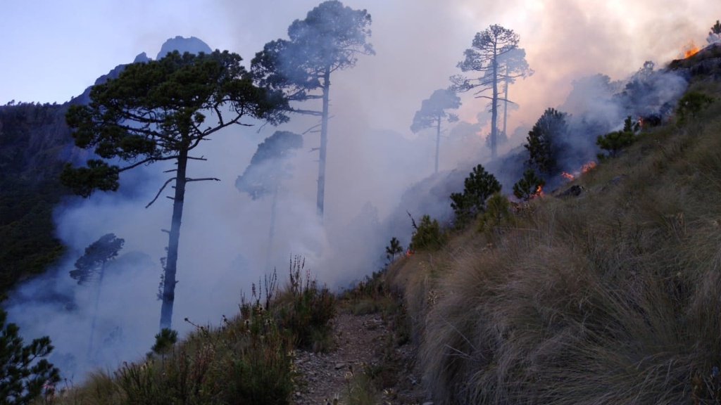 Se registra Incendio forestal en Xico, Veracruz