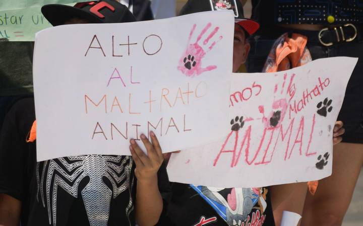 Vecinos de Río Blanco Denuncian Envenenamiento de Mascotas en Fraccionamiento