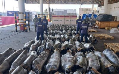 Incautan más de 700 kilos de marihuana en el Puerto de Veracruz