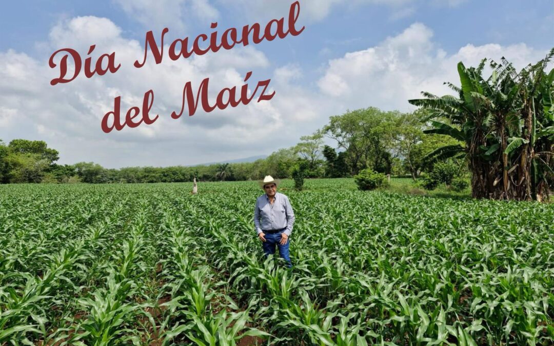 El Maíz: Corazón de México y Raíz de Nuestra Cultura, Esteban Bautista