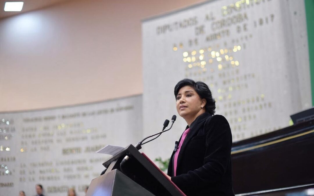 Propone diputada incorporar la Violencia Estética en la legislación local