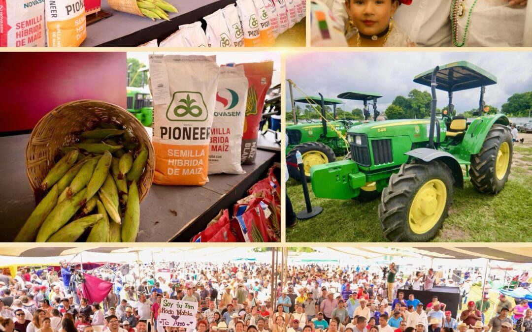 Entrega de Semilla de Maíz en José Azueta fortalece la autosuficiencia alimentaria en Veracruz