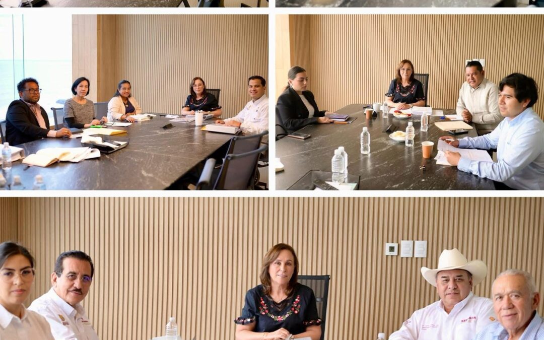 Rocío Nahle anuncia preparación del primer informe de gobierno de Veracruz con énfasis en rendición de cuentas