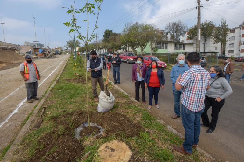 Realizan jornada de reforestación en Jardines de Xalapa