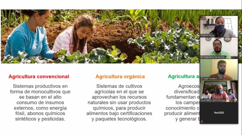 Xalapa, ciudad que le apuesta a la agroecología