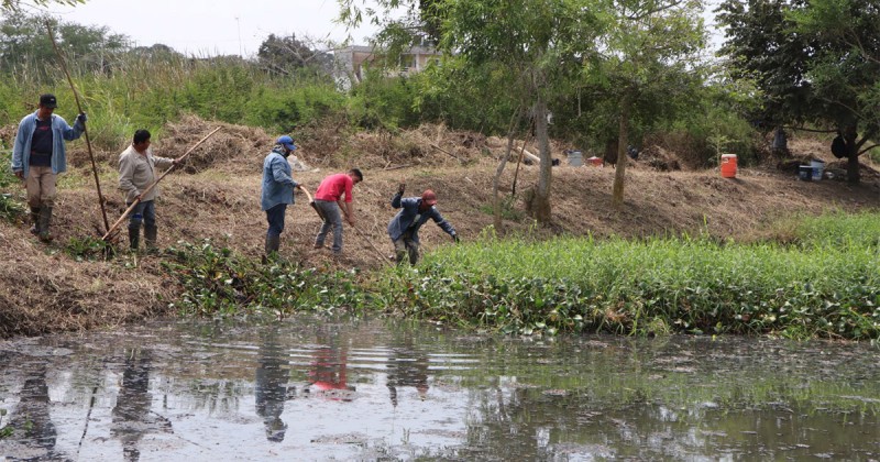 GOBIERNO DE TUXPAN DESAZOLVA CANAL PARA PREVENIR INUNDACIONES.