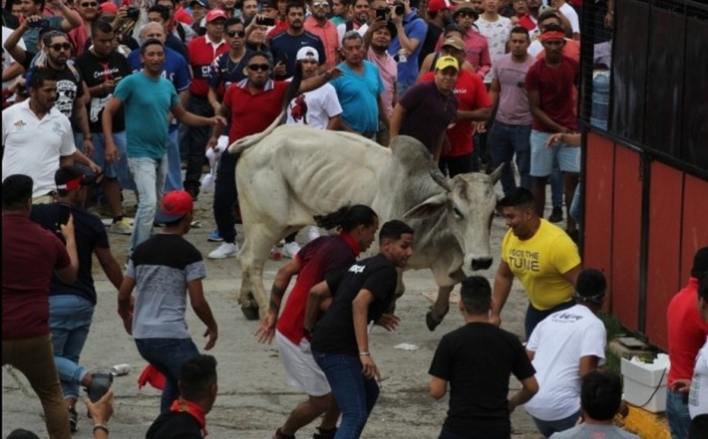 Suman 15 detenidos en fiestas de La Candelaria en Tlacotalpan, Veracruz