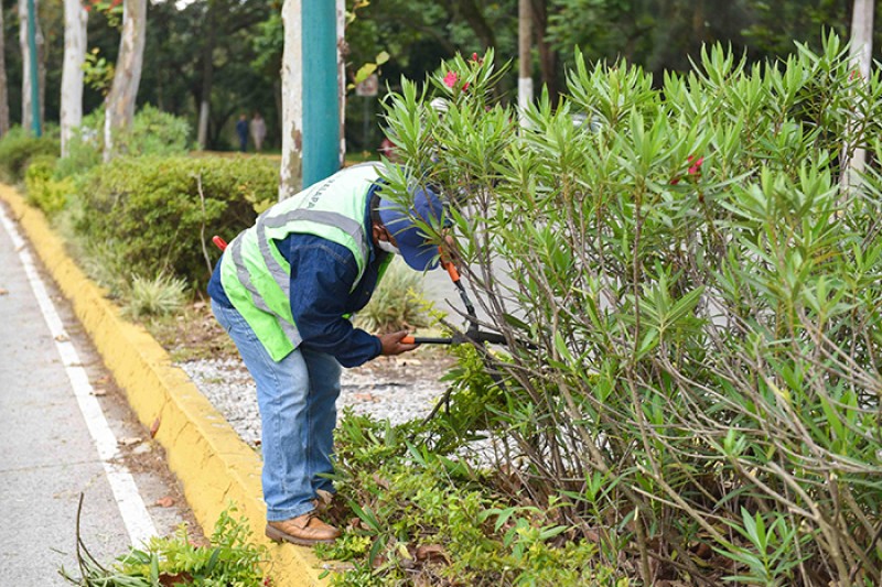 Inicia el próximo lunes Proyecto de Apoyos Sociales a la Comunidad