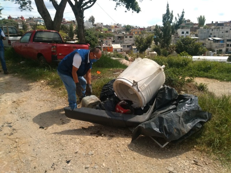 Más acciones contra el dengue: Ayuntamiento de Xalapa