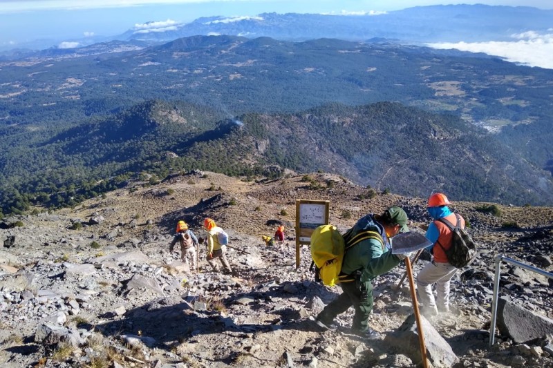 Reportan 100% de control y 90% de liquidación de incendio forestal en Cofre de Pérote