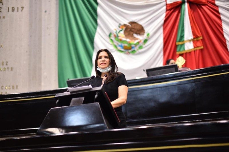 En tribuna, denuncia diputada Mónica Robles caso de violencia de género