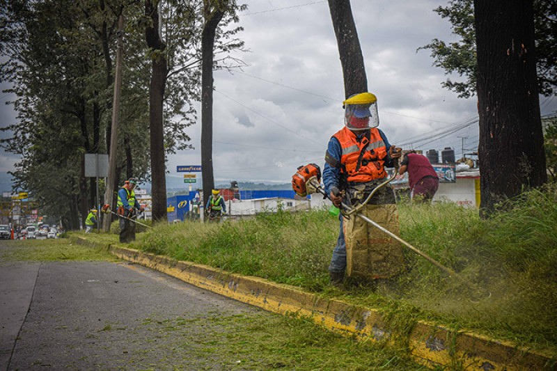 Continúan las acciones de limpieza en áreas verdes de Xalapa