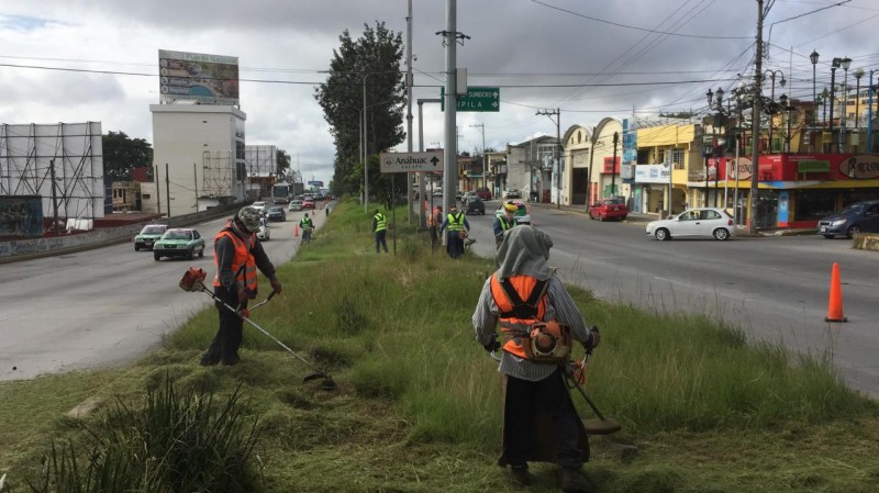 Mejoran imagen urbana de Xalapa