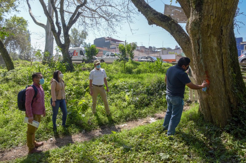 Por seguridad, retiran árboles del parque La Estación