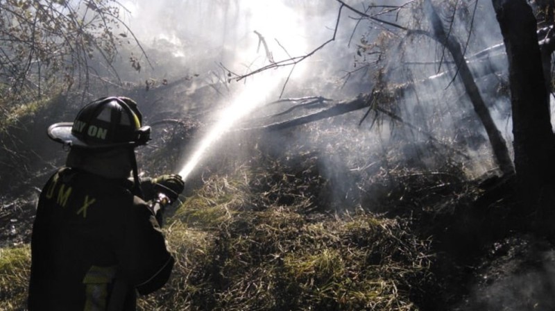 Incendio consume pasto en la tercera sección del Bosque de Chapultepec