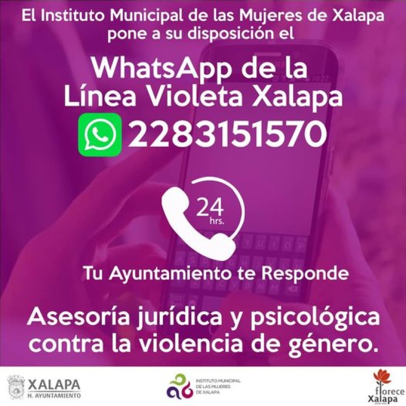 Habilita IMMX Línea Violeta por WhatsApp