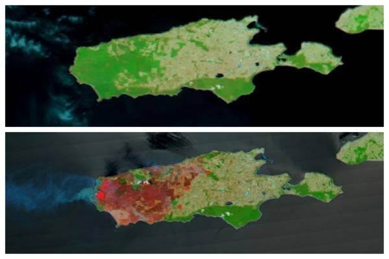 Imágenes muestran daños por incendios forestales en Isla Canguro