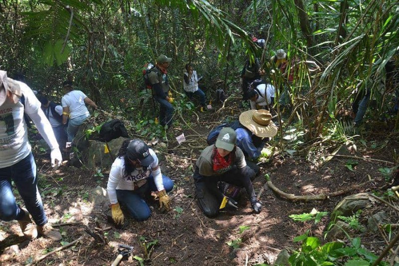 Brigada de búsqueda localiza restos humanos en predio de Coyutla, Veracruz