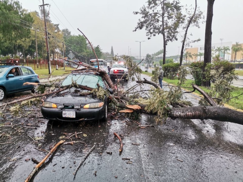 Atiende Sistema Municipal de PC afectaciones por lluvia