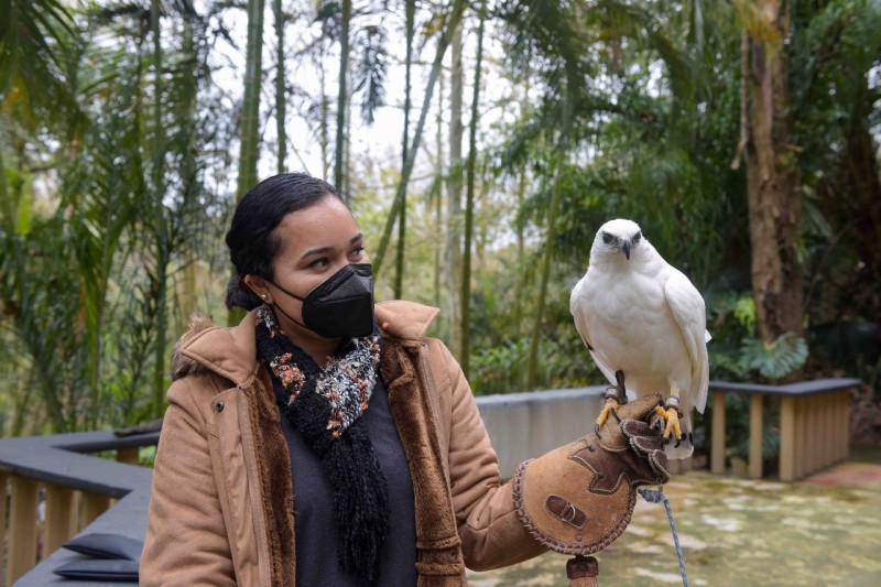 UMA Xalapa, ejemplo de cuidado y conservación de la fauna local