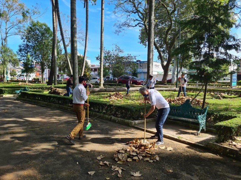 Llama ayuntamiento de Xalapa a no relajar medidas sanitarias contra la COVID-19