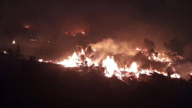 Se activa el Equipo Estatal de Manejo de Incidentes para atención de incendio en el Parque Nacional del Cofre de Perote