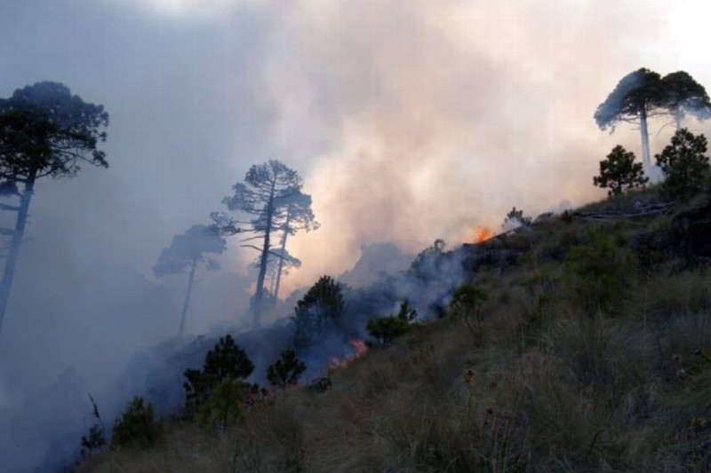 Reporta Conafor tres incendios en lo que va del año