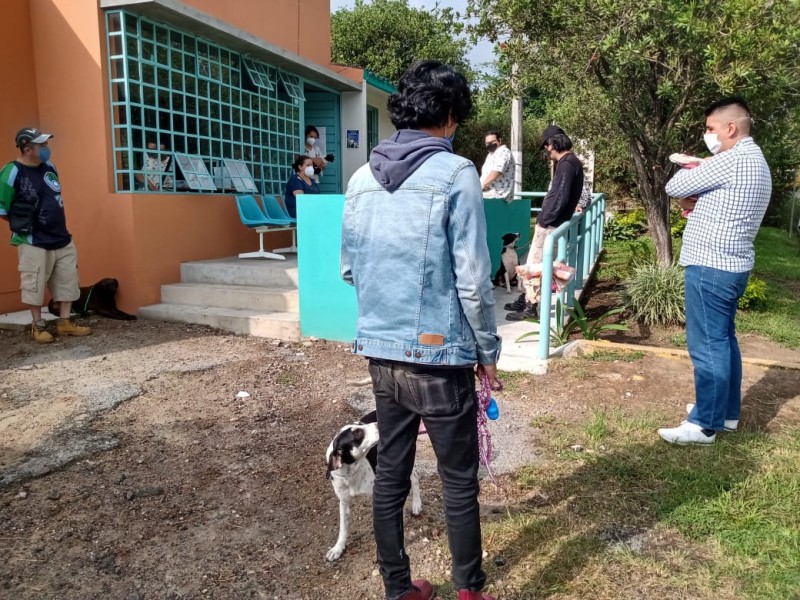 Exhortan a la ciudadanía Xalapeña a colaborar con el bienestar animal