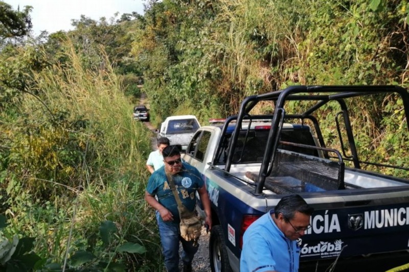 Hallan restos humanos en cañaverales de Córdoba, Veracruz