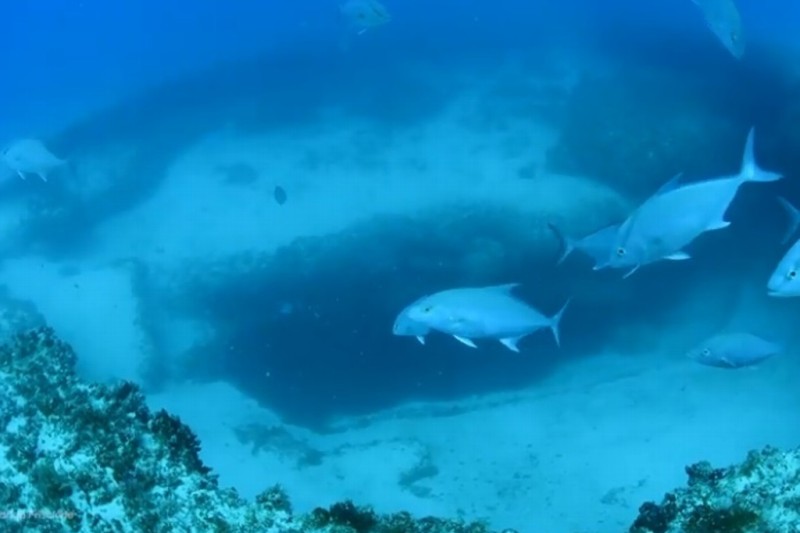 Encuentran cenotes de agua dulce en el fondo del Mar Caribe