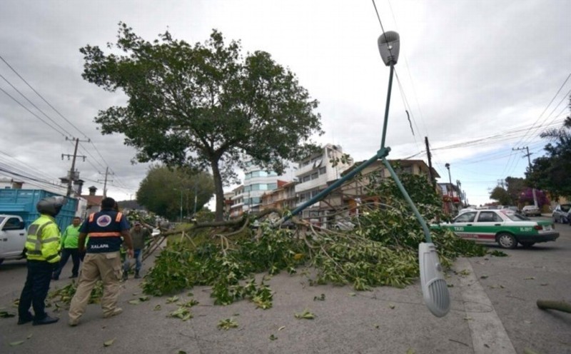 Al menos 10 municipios en Veracruz han reportado incidentes por evento de norte: PC