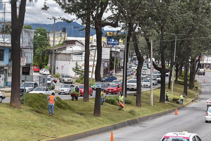 Avanzan trabajos de mantenimiento en áreas jardinadas de la ciudad de Xalapa